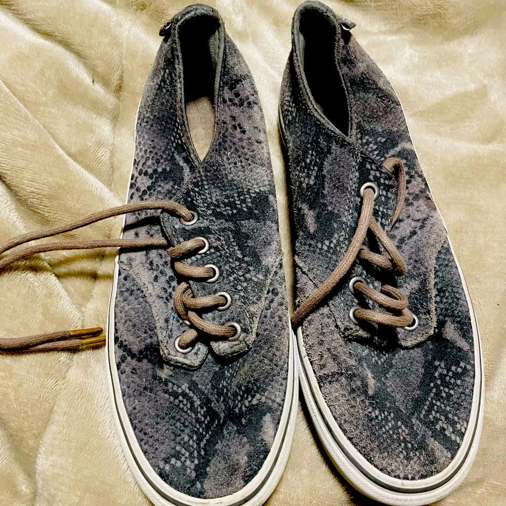Vans - Picture 1 of 7